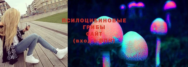 индика Армянск