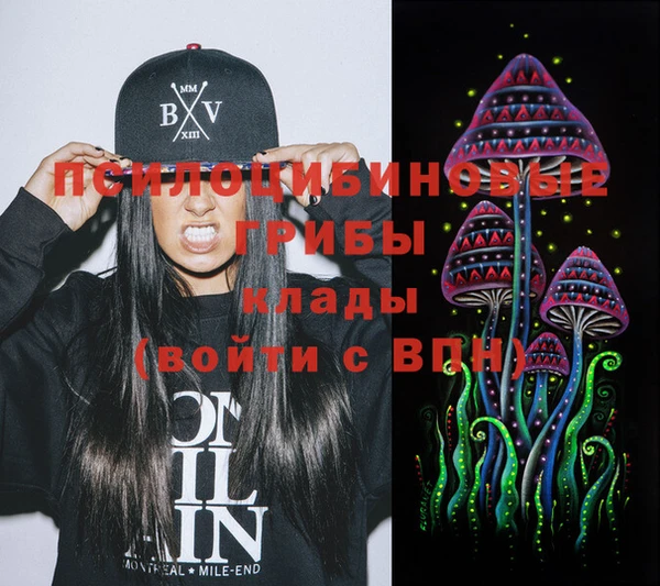 индика Армянск