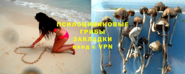 индика Армянск